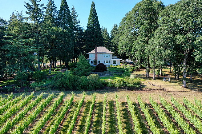 RDV vineyards and house
